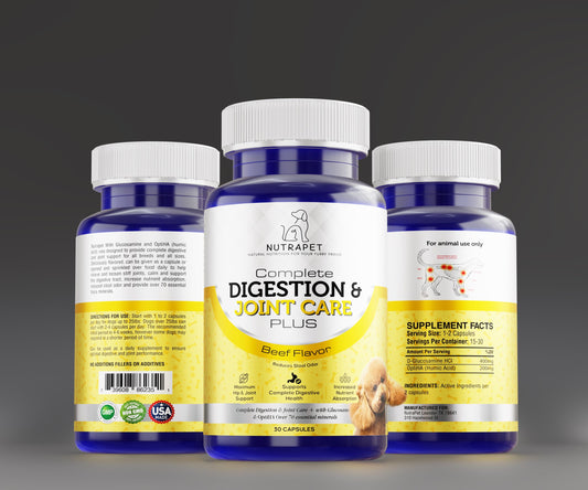 Complete Digestion & Joint Care Plus-Beef Flavor