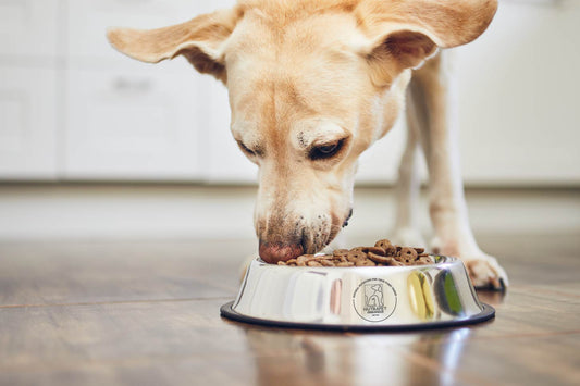 NutraPet Stainless Steel Dog Bowl